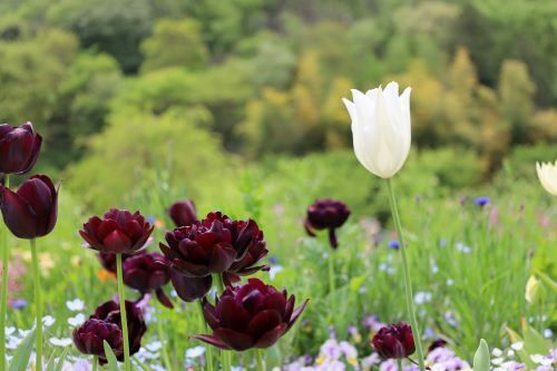 2023.04.20.06ss-blog.JPG