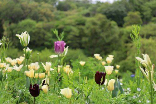 2023.04.20.07ss-blog.JPG