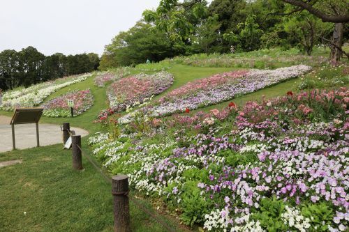 2023.04.20.08ss-blog.JPG