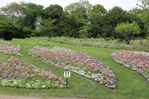 2023.04.20.09ss-blog.JPG