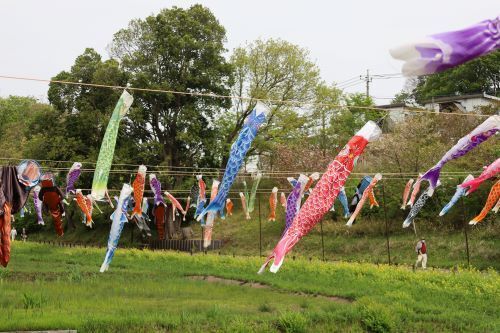 2023.04.20.10ss-blog.JPG