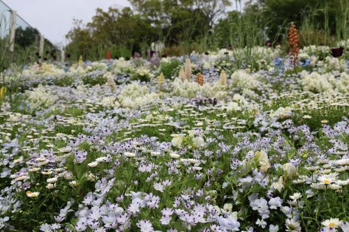 2023.04.20.11ss-blog.JPG