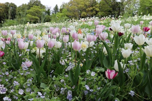 2023.04.20.12ss-blog.JPG