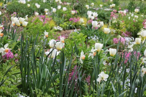 2023.04.20.13ss-blog.JPG