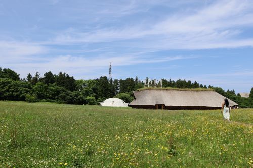 2023.07.13.11ss-blog.jpg