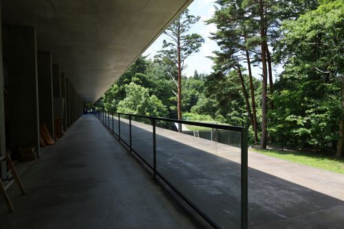 2023.08.31,13ss-blog.jpg