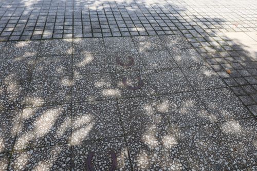 2023.09.06.10ss-blog.JPG