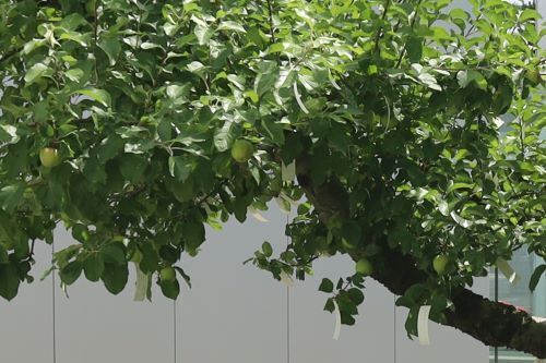 2023.10.05.01ss-blog.jpg