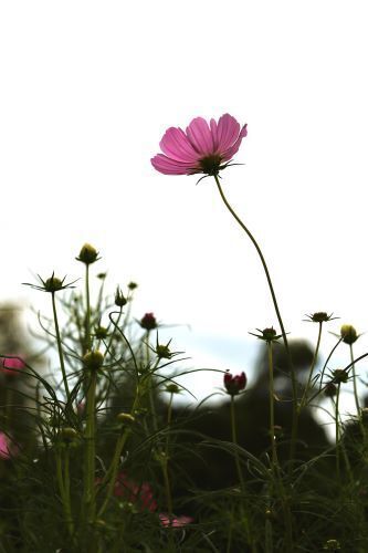 2023.10.11.06ss-blog.jpg