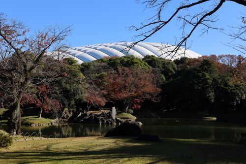 2023.12.17.20ss-blog.jpg