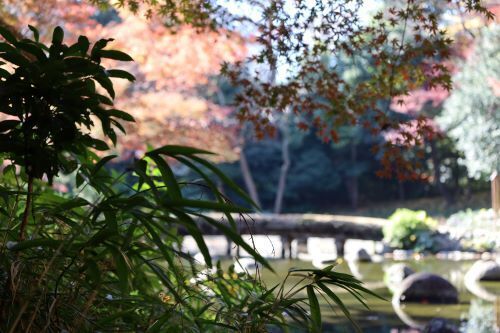 2023.12.17.23ss-blog.jpg