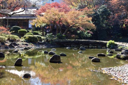 2023.12.17.24ss-blog.jpg