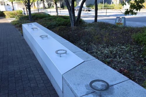 2023.12.19.11ss-blog.jpg