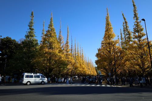2023.12.19.13ss-blog.jpg