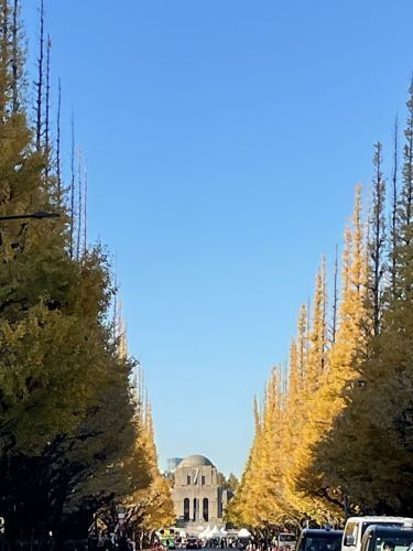 2023.12.19.16ss-blog.jpg