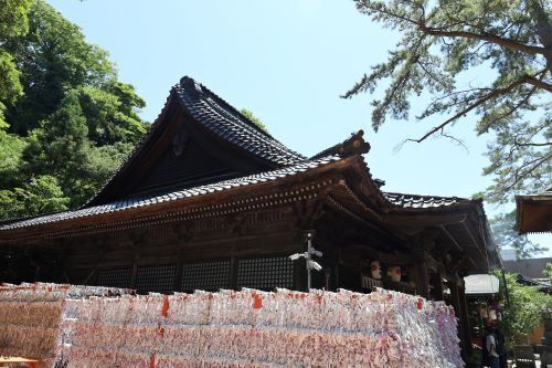 2024.02.22.05ss-blog.jpg
