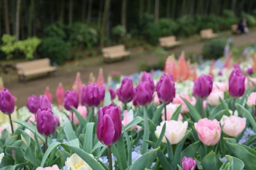 2024.04.09.02ss-blog.jpg