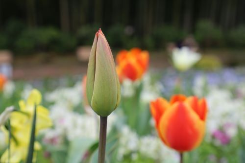 2024.04.09.03ss-blog.jpg
