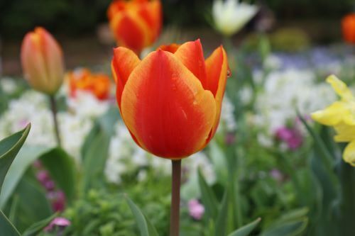 2024.04.09.04ss-blog.jpg