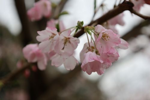 2024.04.09.05ss-blog.jpg