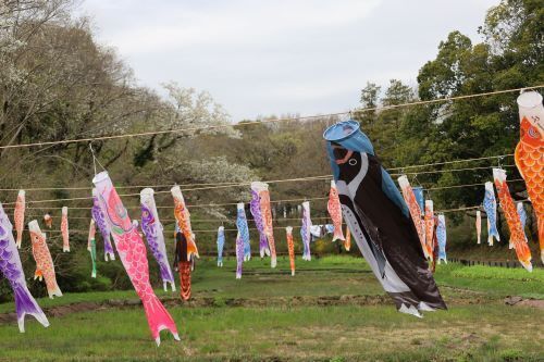 2024.04.09.06ss-blog.jpg