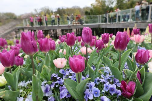 2024.04.09.08ss-blog.jpg