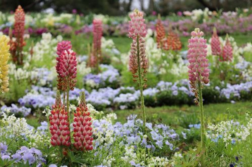2024.04.09.09ss-blog.jpg
