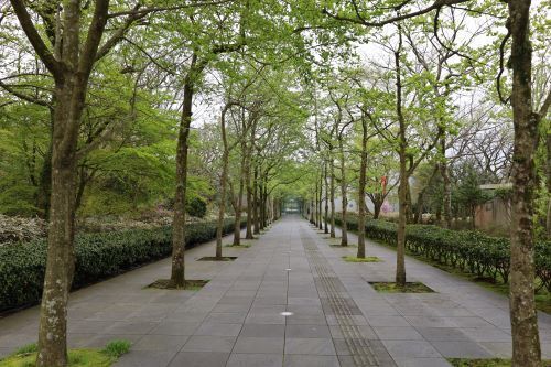 2024.05.17.03ss-blog.jpg