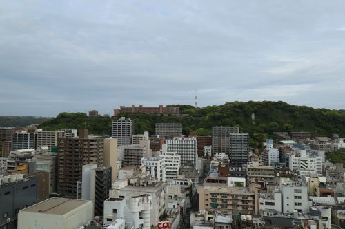 2024.06.18.01ss-blog.JPG