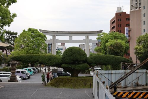 2024.06.18.10ss-blog.JPG
