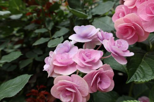 2024.06.28.04ss-blog.JPG