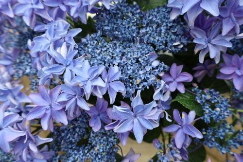 2024.06.28.07ss-blog.JPG
