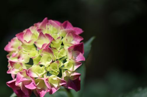 2024.06.28.08ss-blog.JPG