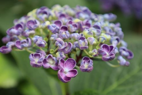 2024.06.28.10ss-blog.JPG