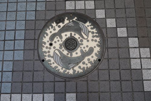 2024.07.02.09ss-blog.JPG