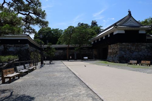 2024.07.05.07ss-blog.JPG