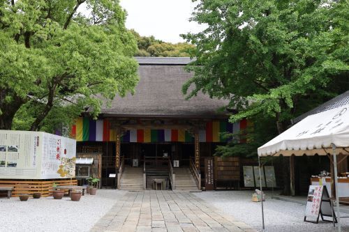 2024.07.23.06ss-blog.JPG