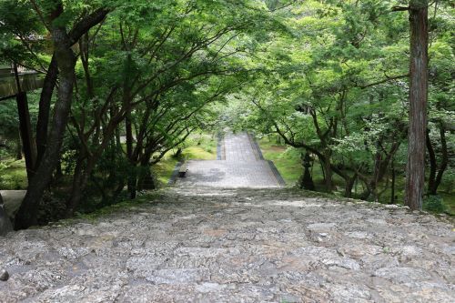 2024.07.23.09ss-blog.JPG