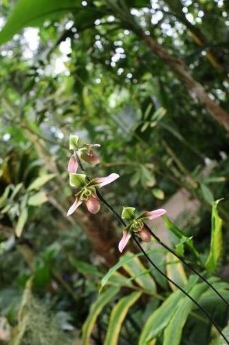 2024.08.05.03ss-blog.JPG