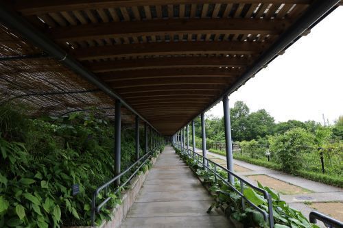 2024.08.05.09ss-blog.JPG