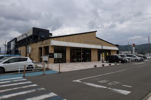 2024.08.12.10ss-blog.JPG