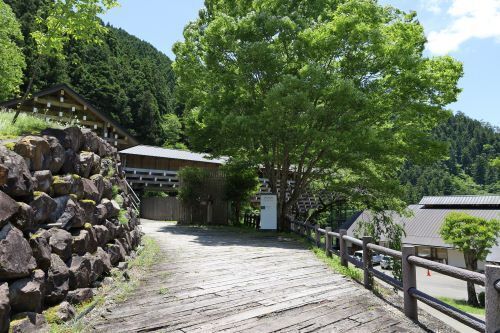 2024.08.19.10ss-blog.JPG