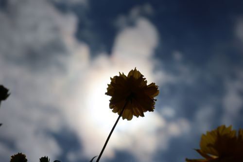 2024.09.29.02ss-blog.JPG