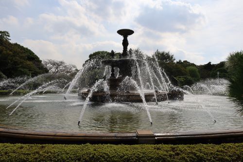 2024.10.04.06ss-blog.JPG
