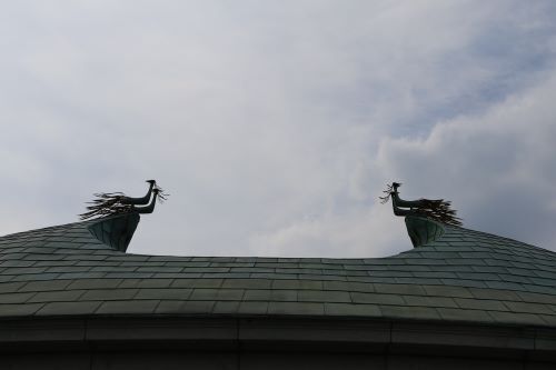 2024.10.04.11ss-blog.JPG