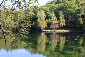2025.01.30.01ss-blog.JPG