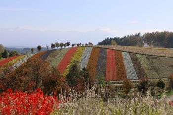 2025.01.30.02ss-blog.JPG