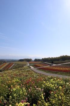2025.01.30.05ss-blog.JPG