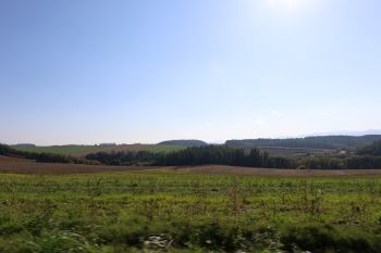 2025.02.01.04ss-blog.JPG