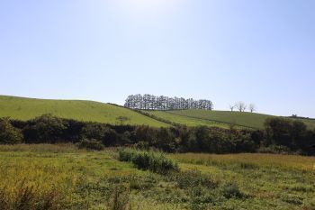 2025.02.01.05ss-blog.JPG